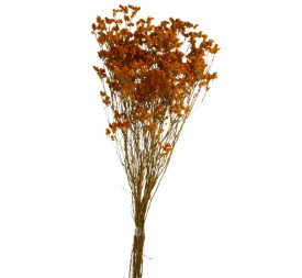 SINESIS PRESS. 40/50 cms. NARANJA (29)