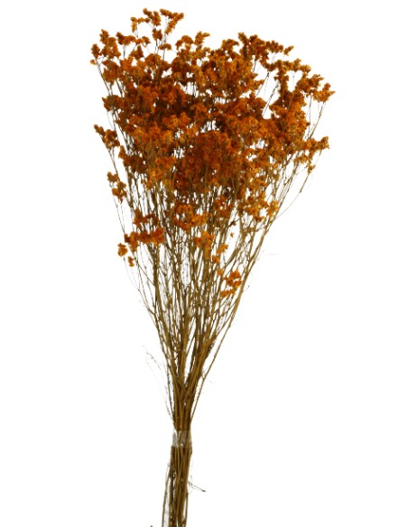 SINESIS PRESS. 40/50 cms. NARANJA (29)