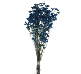 SINESIS PRESS. 40/50 cms. AZUL (73)