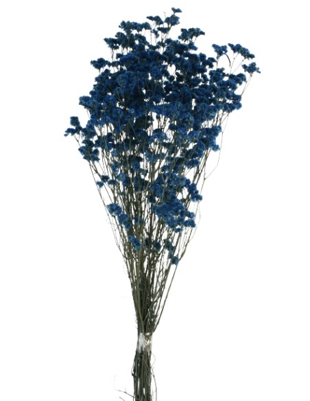 SINESIS PRESS. 40/50 cms. AZUL (73)