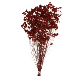 SINESIS PRESS. 40/50 cms. ROJO (59)