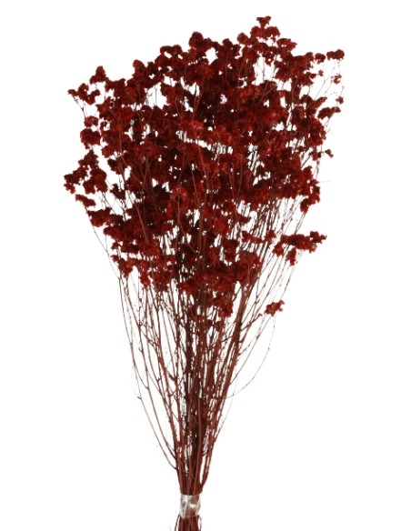 SINESIS PRESS. 40/50 cms. ROJO (59)