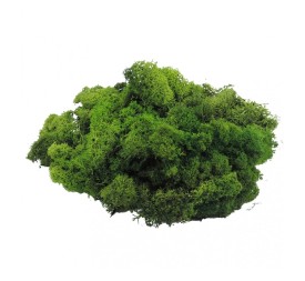 MUSGO FINLANDES PRES.500 grs.VERDE (67)