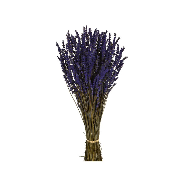 LAVANDA  PRESS 45cms. (03) AZUL