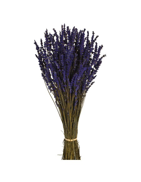 LAVANDA  PRESS 45cms. (03) AZUL