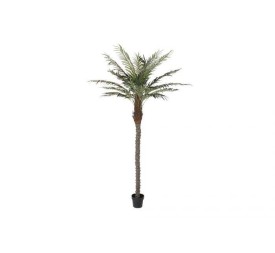 ARBOL POLIESTER PP 100X100X230 PALMERA DATILERA