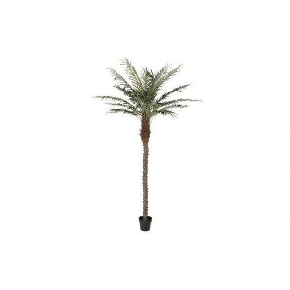 ARBOL POLIESTER PP 100X100X230 PALMERA DATILERA