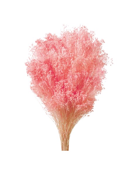BROOMS PRESS. 50 cm ROSA (P40)