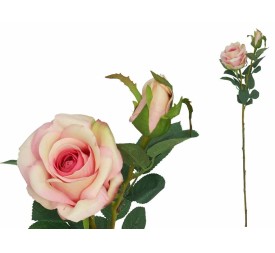 VARA ROSA X2 R/TOUCH 65 CM RO