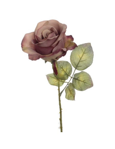 VARA ROSA DELIA DRY LILA