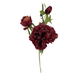 PEONIA X3 OTOÑAL ROJO 55cm(15