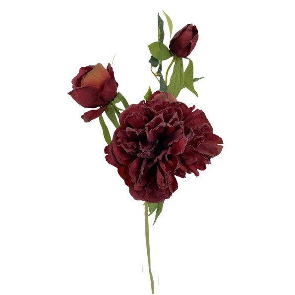 PEONIA X3 OTOÑAL ROJO 55cm(15)  8 (A221-4)