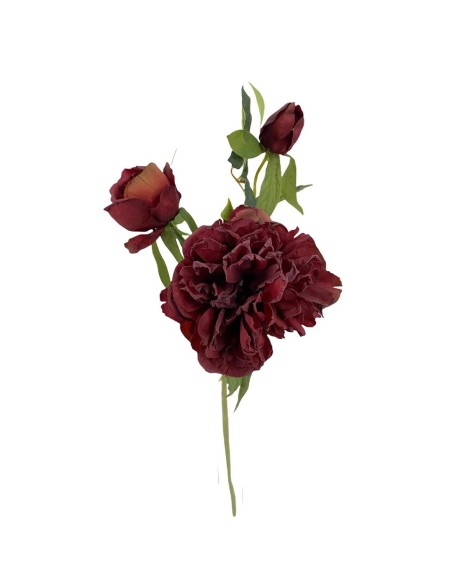 PEONIA X3 OTOÑAL ROJO 55cm(15