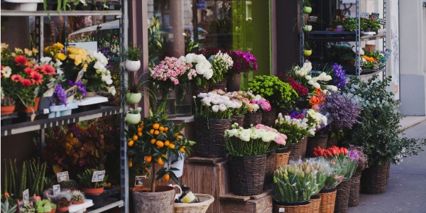 Cómo montar el expositor de Santos en tu tienda: guía práctica para floristerías y bazares