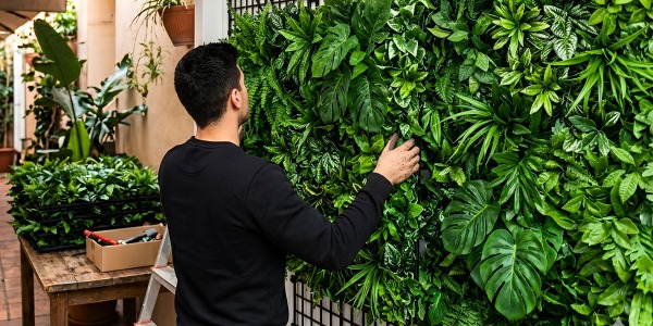 Cómo instalar un jardín vertical en tu restaurante o negocio: guía completa paso a paso
