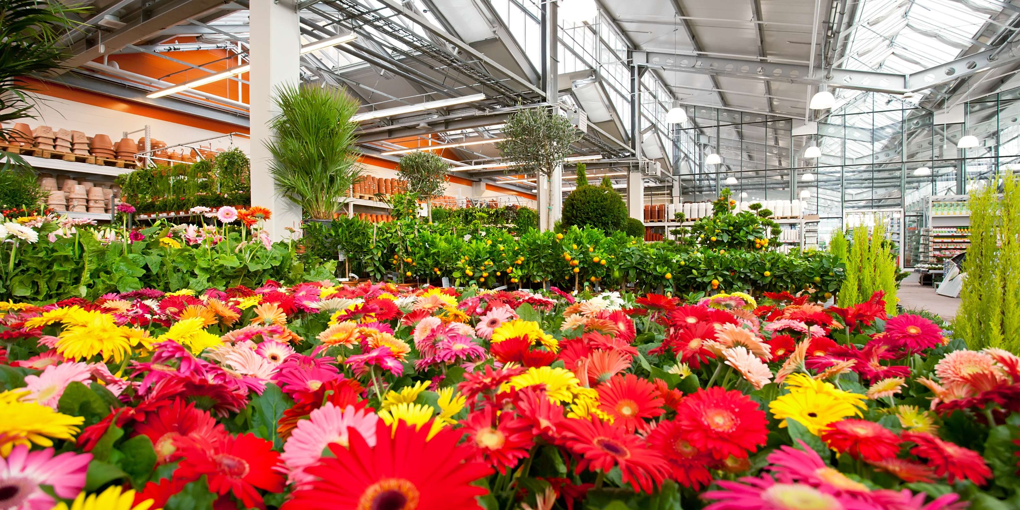 Mundo Flor: Tu Mayorista de Flor Artificial y Decoración